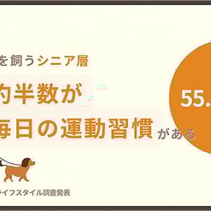 ミシュワン「犬を飼うシニア層の半数が毎日運動習慣がある」食習慣やコミュニケーションも“いい方向へ” 愛犬と歩むための包括的なサポートめざす