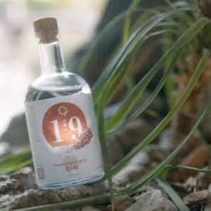 甲州ぶどうを使った「山梨県ジン」誕生。ご当地クラフトジン第15弾は山梨県！