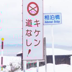 世界有数の高密度ヒグマ生息地 / 美しき雪化粧の北海道・知床先端部地区を撮影