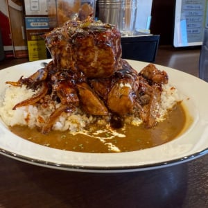 肉塊が再び降臨！　CoCo壱番屋が｢ホロ肉ドカンとデミグラスカレー」発売　早速食べてみた