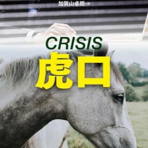 新・競馬シリーズ第2弾『虎口』をお薦め！