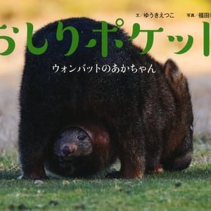 お尻が硬いだけじゃなかった？ウォンバットの可愛い子育ての瞬間
