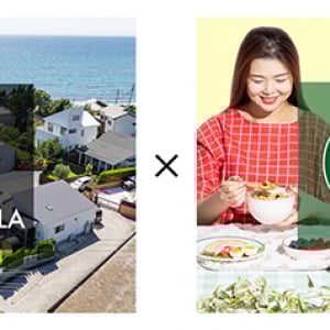 【千葉県南房総市】COCO VILLAで食と滞在両面から“犬の生活リズム”を整える「朝専用フード」無料提供