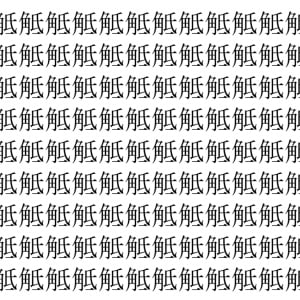 【脳トレ】「觝」の中に紛れて1つ違う文字がある！？あなたは何秒で探し出せるかな？？【違う文字を探せ！】