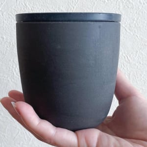 鉢植えみたいなコレでキッチンの生ゴミ臭を解消!? 今まで捨ててた◯◯が消臭剤になったよ！