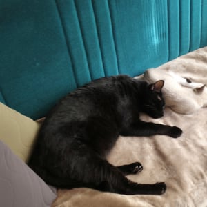 【無印がまた人をダメにする…】冷たいソファを「秒でぽかぽか」にする冬の必需品