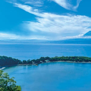 富士山のふもとで週末ダイビング！東京近郊 奇跡のととのいスポット、大瀬崎