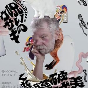 韓国の鬼才による異色短篇集〜チョン・ボラ『呪いのウサギ』