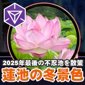 『Ingress』冬の蓮池をめぐる!! マルチタスクで挑む今年最後のセカンドサンデーリポート