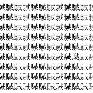 【脳トレ】「駴」の中に紛れて1つ違う文字がある！？あなたは何秒で探し出せるかな？？【違う文字を探せ！】