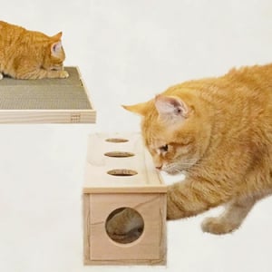 岩手県大船渡市山林火災の被災木を活用したネコ用おもちゃと爪とぎが新登場