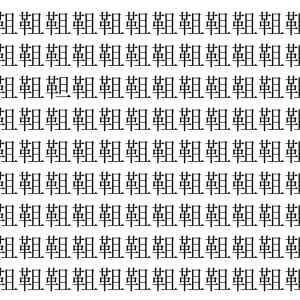 【脳トレ】「靻」の中に紛れて1つ違う文字がある！？あなたは何秒で探し出せるかな？？【違う文字を探せ！】