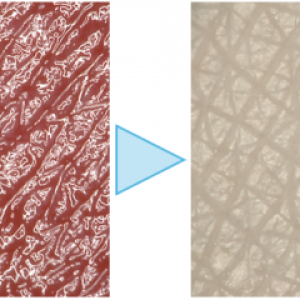 ワキのニオイの悩みに新しい解決策！デオナチュレから「ワキ専用クレンジング」で皮脂を洗い落とすことに着目した新商品が登場