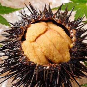 北海道室蘭市の「天然活蝦夷あわび」と「キタムラサキウニ」が、ふる納返礼品に登場！