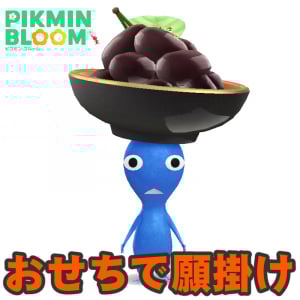 『ピクミン ブルーム』新年初抜き!! お正月気分もあっという間だったおせちイベント進捗リポート【プレイログ#1082】