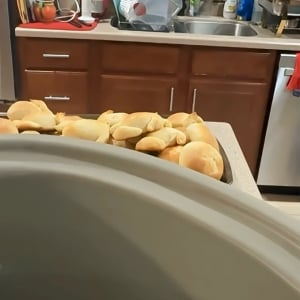 小さなおててがぴょこ！トレーの上のパンをこっそり取っていった子がいたぞ！！【アメリカ・動画】