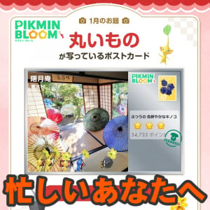 『ピクミン ブルーム』iOS14サポート終了!! フレンド上限解放＆SNS新企画も始まった された最新情報ガイド【プレイログ#1083】