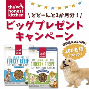 ヒューマングレードと認定されたドッグフード「オネストキッチン クランチ」がプレゼントキャンペーンを実施中