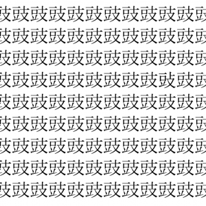 【脳トレ】「豉」の中に紛れて1つ違う文字がある！？あなたは何秒で探し出せるかな？？【違う文字を探せ！】