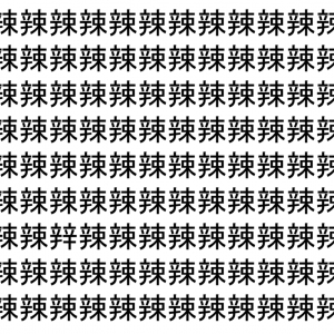 【脳トレ】「辣」の中に紛れて1つ違う文字がある！？あなたは何秒で探し出せるかな？？【違う文字を探せ！】