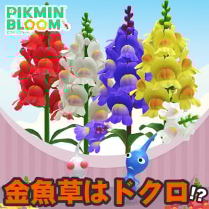 『ピクミン ブルーム』おしゃべりで上品!? キンギョソウが開花する2026年2月の最新環境ガイド【プレイログ#1090】