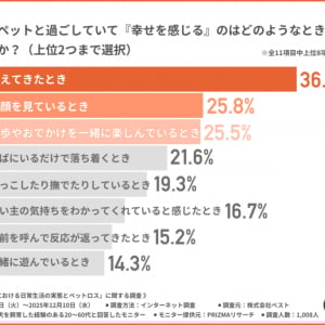 「もっと一緒に過ごせばよかった」その前に　犬との日常と別れを見つめ直す飼い主調査