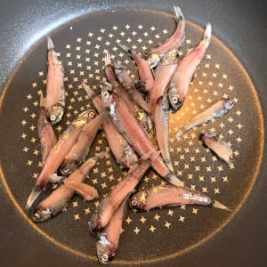 【絶対に漏らさせる魚、見習い】見た目はちょっとキモイけど禁断のあの脂を含んで激ウマな魚「ハダカイワシ」を食べた結果【未利用魚】