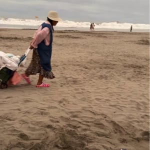 アヒルがビーチをおさんぽ！？ブーツを履いておばあちゃんの後ろをついていく！？【海外・動画】