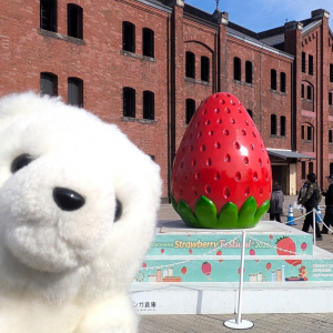 【横浜赤レンガ倉庫】まるでいちごの楽園…♡「ストロベリーフェスティバル2026」へ行ってきた