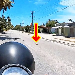 ナウルの車道にはヤシの実っぽいのが落ちているので注意