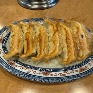 【宇都宮グルメ】「ライス・ビールは御座いません」　餃子通り屈指の人気店！　「餃子専門店 正嗣」【餃子】