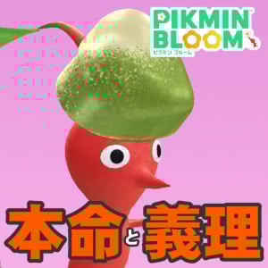 『ピクミン ブルーム』義理でいい!! いろいろな味をたのしみたいバレンタインチョコ2026進捗リポート【プレイログ#1099】