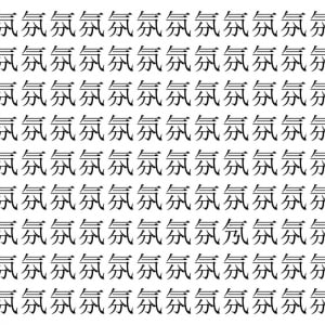 【脳トレ】「氛」の中に紛れて1つ違う文字がある！？あなたは何秒で探し出せるかな？？【違う文字を探せ！】