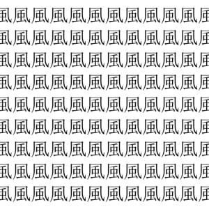 【脳トレ】「風」の中に紛れて1つ違う文字がある！？あなたは何秒で探し出せるかな？？【違う文字を探せ！】
