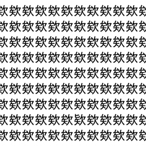 【脳トレ】「欸」の中に紛れて1つ違う文字がある！？あなたは何秒で探し出せるかな？？【違う文字を探せ！】