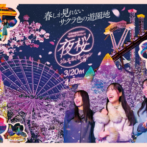 よみうりランド、桜のライトアップと宝石色のイルミが輝く「夜桜ジュエルミネーション」3月20日より開催！
