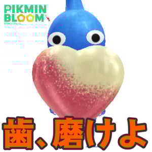 『ピクミン ブルーム』歯磨きしてる!? 甘いものを食べたら忘れちゃいけないバレンタインイベント進捗リポート【プレイログ#1102】