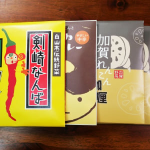 【能登復興支援】ひろゆきのサブスクで「ふれあい工房たんと」のレトルトカレーが届いた件→ 実際に食べてみた話