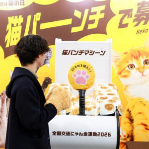 22kgピッタリで2,222円！猫の日イベント「猫パンチで保護猫支援」