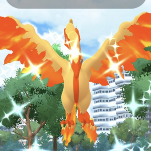 「おこう」からガラル3鳥の目撃情報相次ぐ / 色違いをコンプするチャンスかも【ポケモンGO】