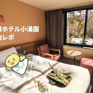 【箱根ホテル小涌園】ユネッサン入り放題！家族旅行で人気の温泉宿に泊まってみた