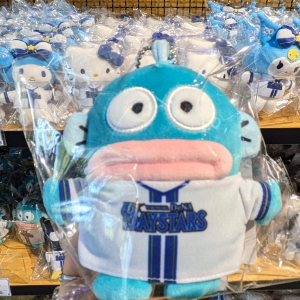 横浜DeNAベイスターズ公式ショップが新登場→ハンギョドンが可愛すぎた【BASEGATE横浜関内】