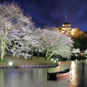 横浜・三溪園、250本の桜が咲き誇る「桜ライトアップ」が3月27日より開催！