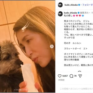 工藤静香、「私の癒し」愛犬たちの最新ショット公開！「幸せな世界」「カワイイがいっぱい」