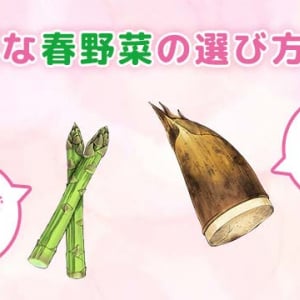旬の春野菜を見分ける方法は？新鮮さがわかるポイントを解説