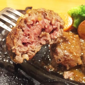 静岡のハンバーグレストランさわやかに行けないなら「東京アルカサールに行けばよい」と言ったらガチ勢にガチギレされた件