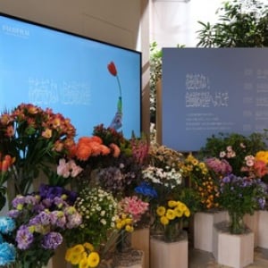 花屋なのに花を売らない？「色を撮る花屋」が代官山に期間限定オープン