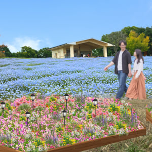 足立区・舎人公園、ネモフィラブルーと幻想的な光の演出が楽しめる「花と光のムーブメント 舎人公園～ネモフィラと百花の花景色～」4月10日より開催！