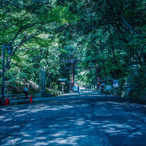 【奈良県天理市】奈良の古道「山の辺の道」に音声ガイド登場。祈りの風景をたどる体験へ