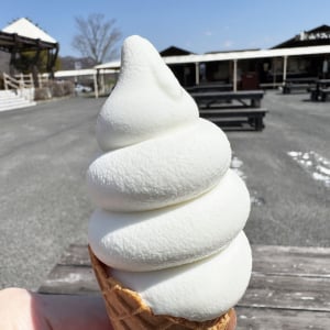 【極上グルメ】めちゃくちゃ美味いソフトクリームが食べられる日光霧降高原「大笹牧場」がスゴイ